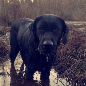 Meet your Posher, Nicholas